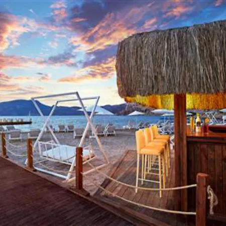 Fi Light Solto Boutique