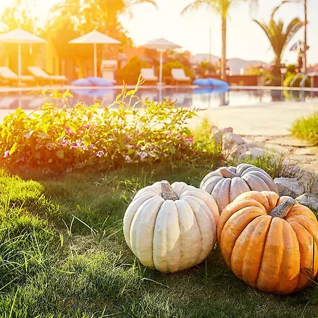 Fi Light Solto Boutique Hotel Selimiye (Aegean)