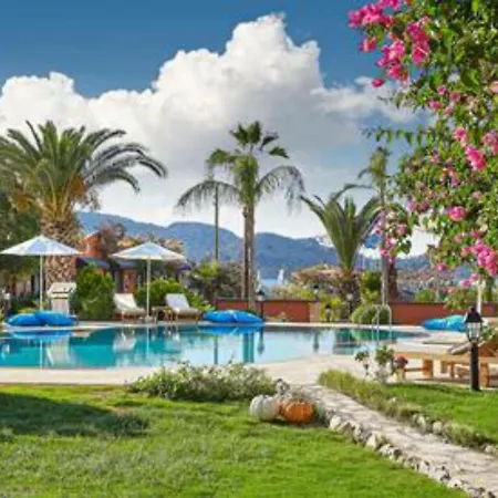 Fi Light Solto Boutique