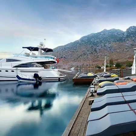 Fi Light Solto Boutique