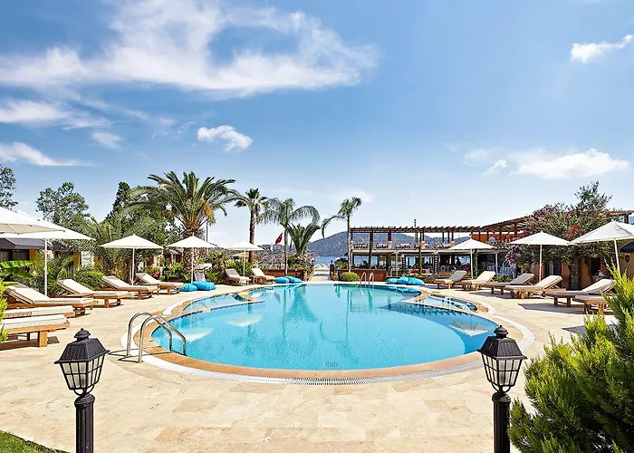 Fi Light Solto Boutique סלימייה