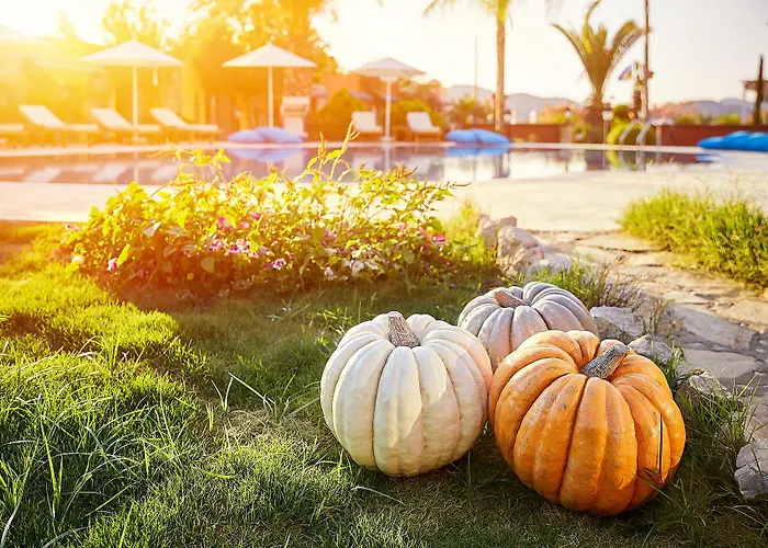 Fi Light Solto Boutique מלון סלימייה