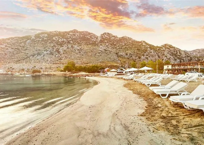 Fi Light Solto Boutique Σελιμιγιέ